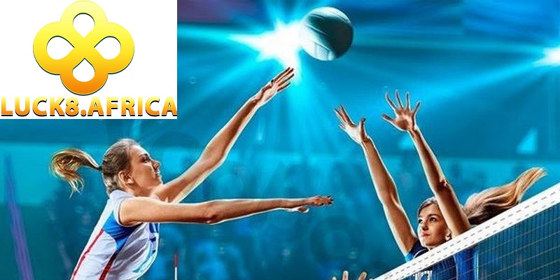 Hướng dẫn tham gia cược bóng chuyền