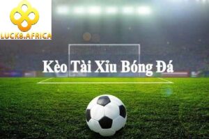 Kèo tài xỉu dễ đánh chỉ cần quan tâm tỷ số chung cuộc của trận đấu